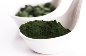 Chlorella